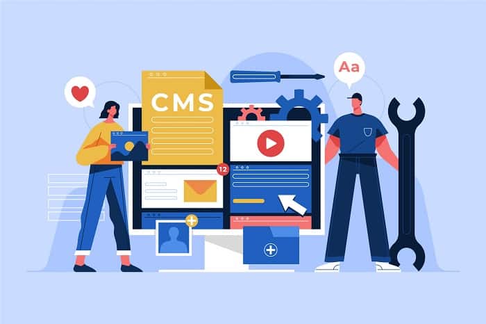 Content Management Systems (CMS)
