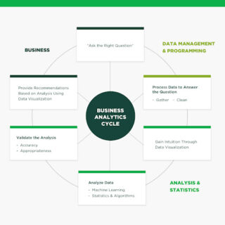 business analytics cycle